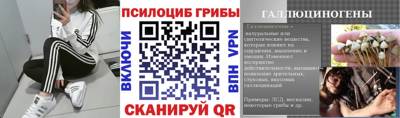Купить где  Богородск  Галлюциногенные грибы мухоморы 